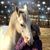 Jan Bickhart's profile image