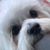 Denise Pirritano's profile image