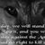 Patsy Ochsner's profile image