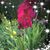 Denise Jacobs's profile image
