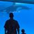 Drock Keith Whitt's profile image
