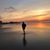 Susan Mulle-Errichiello's profile image