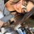 Margo Meere's profile image