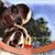 Anthony Brown's profile image