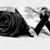 Teresa Mas's profile image