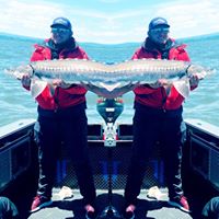 Taylor Sorenson's profile image