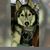 Wasabi Sake Markley's profile image