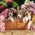 Jeanine Marchesotto Skaggs's profile image