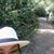 Irene Castillo Gutierrez's profile image