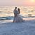 Misti Simonton's profile image
