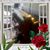 Mark Petrone Jr.'s profile image