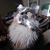 Kathryn Steffens's profile image