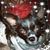 Yvonne Schultz's profile image