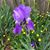 Patty Polen's profile image