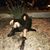 Helen Zaas's profile image