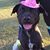 Ana-Belle Nannerz's profile image