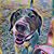 Sandy Mardis D'Antonio's profile image