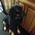 Jennifer Cole's profile image