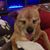 Sandy Rue's profile image