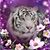Teresa Schoeppner Paulson's profile image