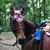 Leslie Voltz Bever's profile image