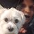 Margaret Speake's profile image