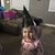 Rhonda Green-Whitacre's profile image