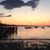 Diane Eggerman's profile image