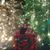 Jacquelyn Byers's profile image