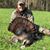 Kenneth Lancaster's profile image