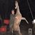 Amy Thibodeaux Domangue's profile image