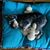 Barbara Lombardo's profile image