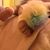 Mayra Da Fontoura Vaz's profile image