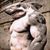 Derrick Boron's profile image