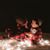 Crystal Morin Nolen's profile image