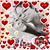 JuneMarie Legatt Friedrich's profile image