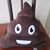 Cheryl Larson Snetsinger's profile image