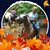 Mary Ann Page Walkup's profile image