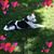Debbie McKinney's profile image