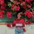 Michaelyn Wright's profile image