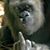 Humberto Jimenez's profile image