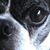 Pete Sanderson's profile image