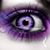 Guadalupe Zavala's profile image
