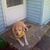 David Rahn's profile image