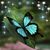Hillary Dawson Bowden's profile image
