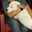 Kansas Rivir's profile image