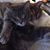 Christy Reed's profile image