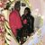 Tayesha Sheonda Greene's profile image