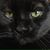 Sabrina Hesch's profile image