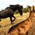 Cheri Brugman's profile image